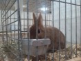 /album/kepgaleria-kiallitasok/img-20180317-172127-jpg/