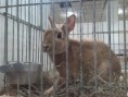 /album/kepgaleria-kiallitasok/img-20180317-172157-jpg/