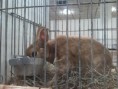 /album/kepgaleria-kiallitasok/img-20180317-172204-jpg/