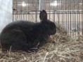 /album/kepgaleria-kiallitasok/img-20171007-082308-jpg/