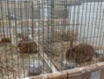 /album/kepgaleria-kiallitasok/img-20171007-082352-jpg/