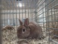 /album/kepgaleria-kiallitasok/img-20171007-082405-jpg/