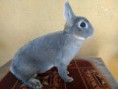 /album/kepgaleria-standard/elet-jpg/